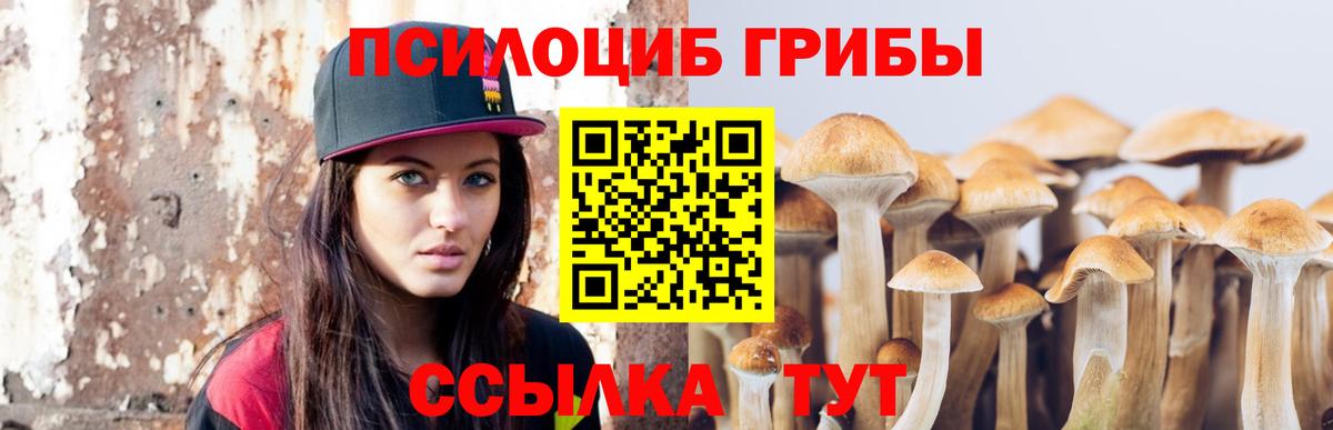 Галлюциногенные грибы прущие грибы  Вход с VPN  продажа наркотиков  Тамбов 